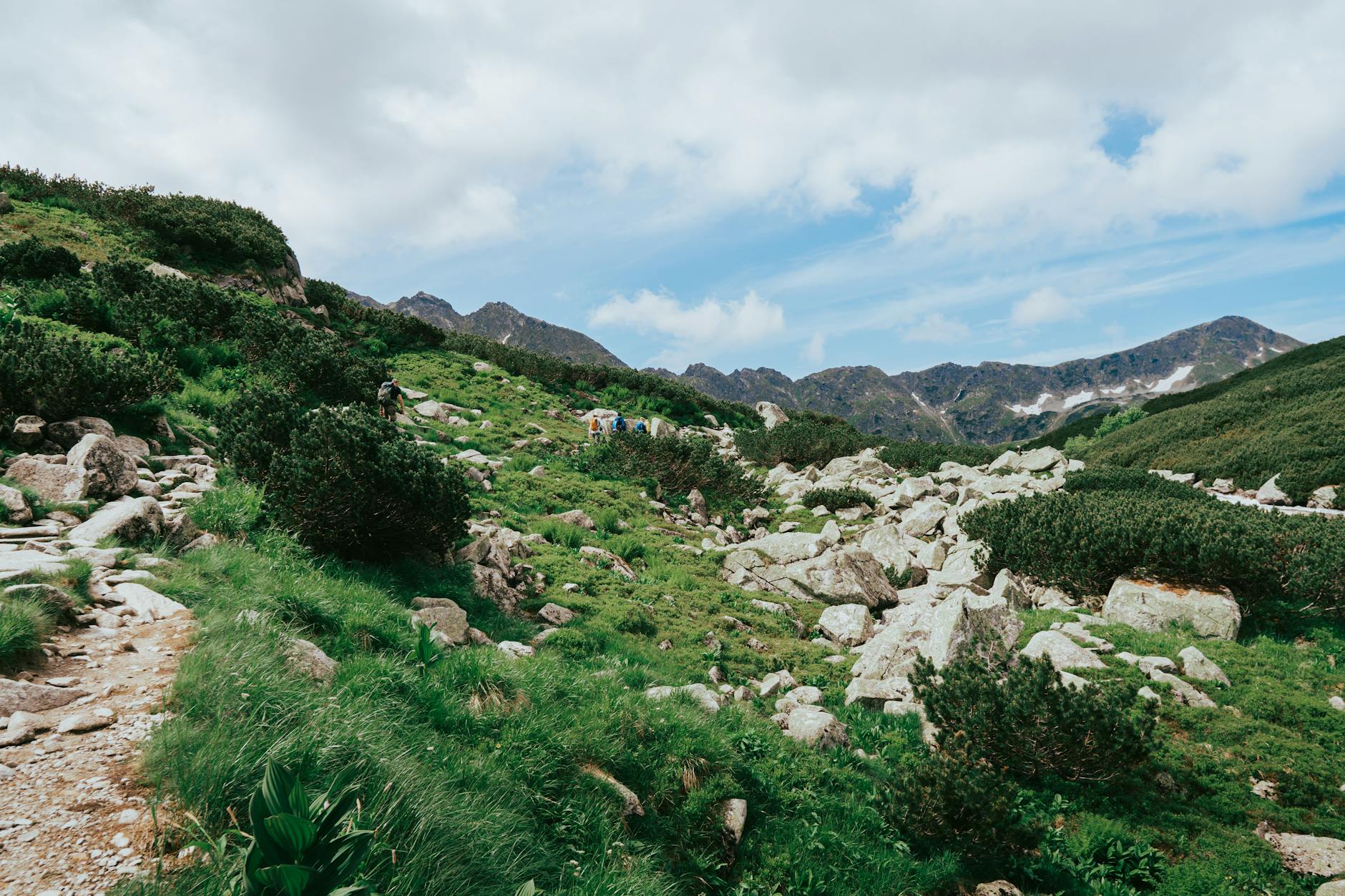Letnie zielone zbocza i skaliste ścieżki w Tatrach idealne na wędrówki